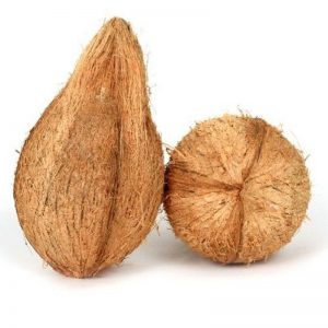 Coconut